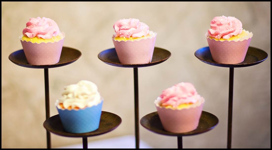 Blue & Pink Eco Cupcake Wrappers